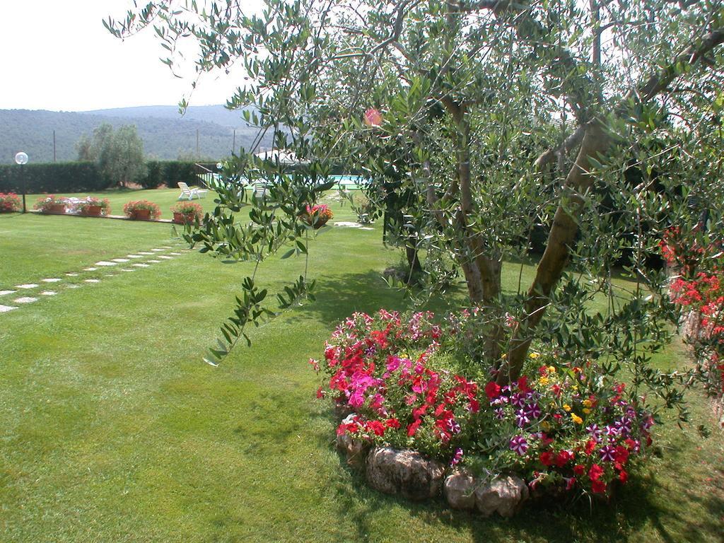 Agriturismo Arnano Sovicille Exterior foto
